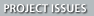 Project Issues