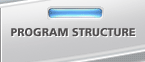 Program Structure