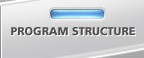 Program Structure